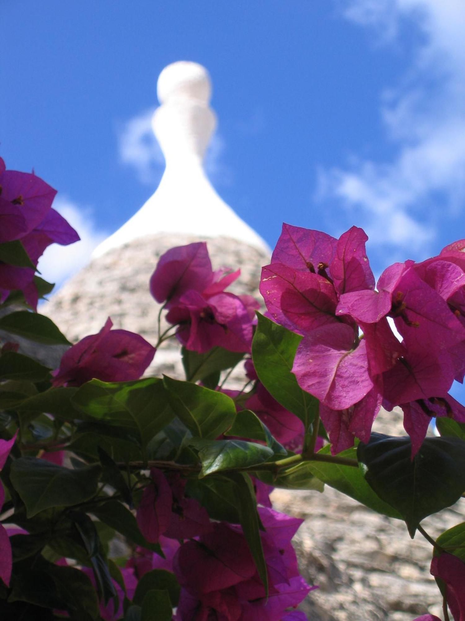 Vacanza In Puglia Alberobello Extérieur photo