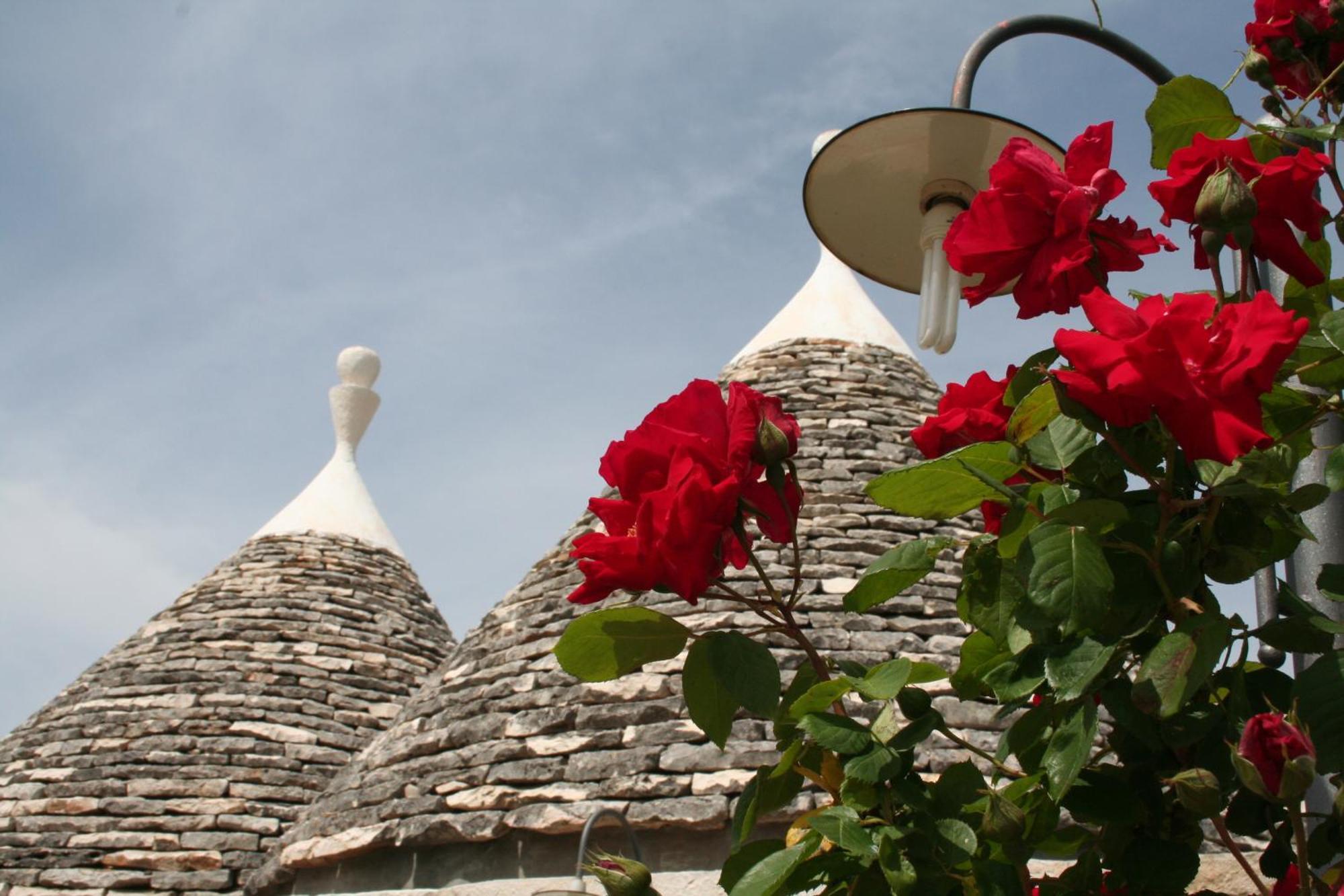 Vacanza In Puglia Alberobello Extérieur photo